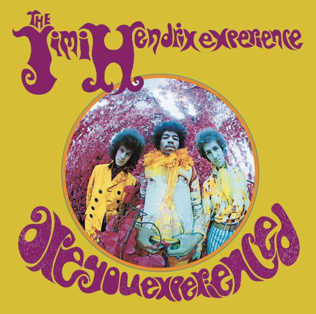 Are You Experienced-Remastered